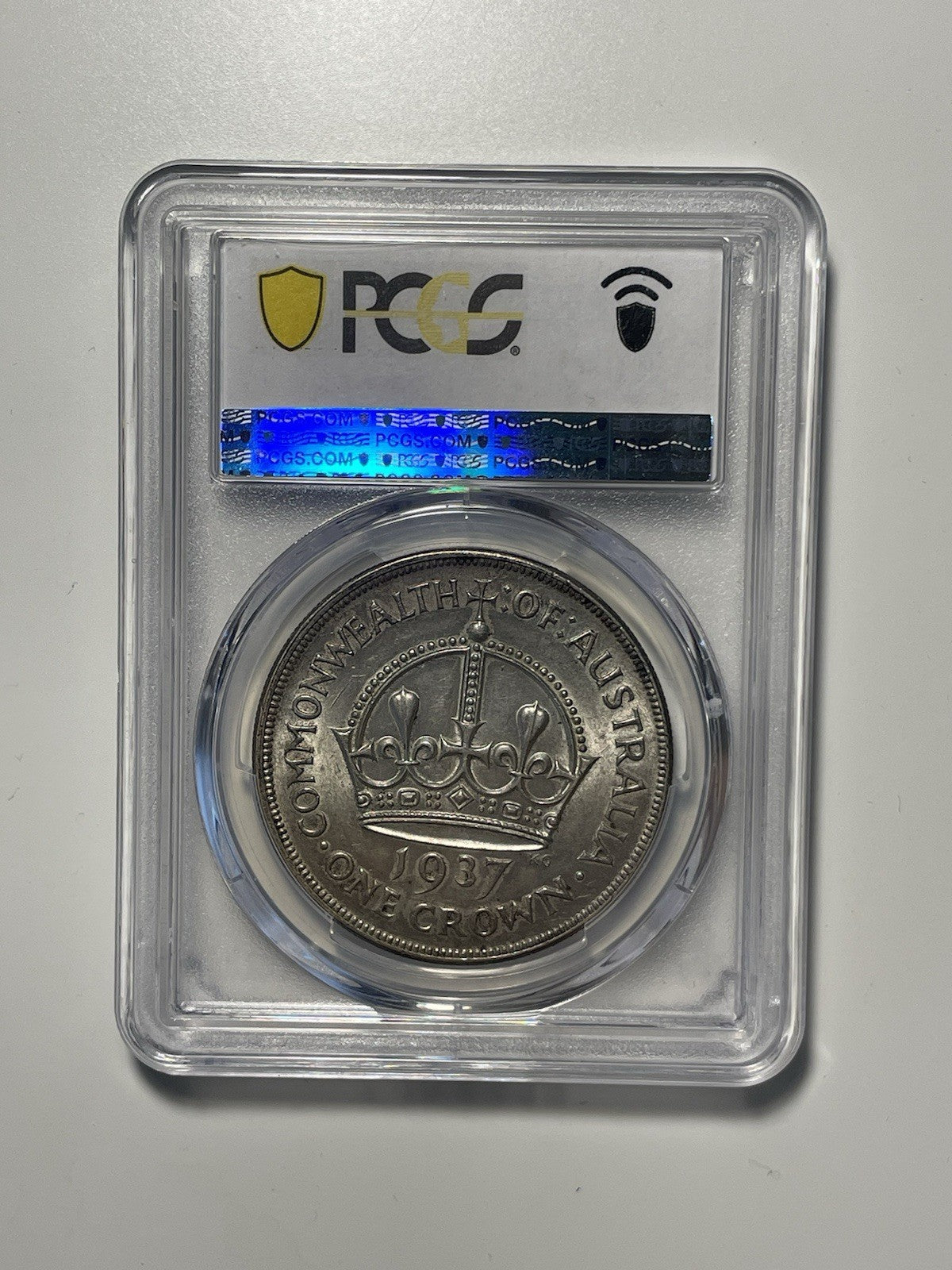 7981202