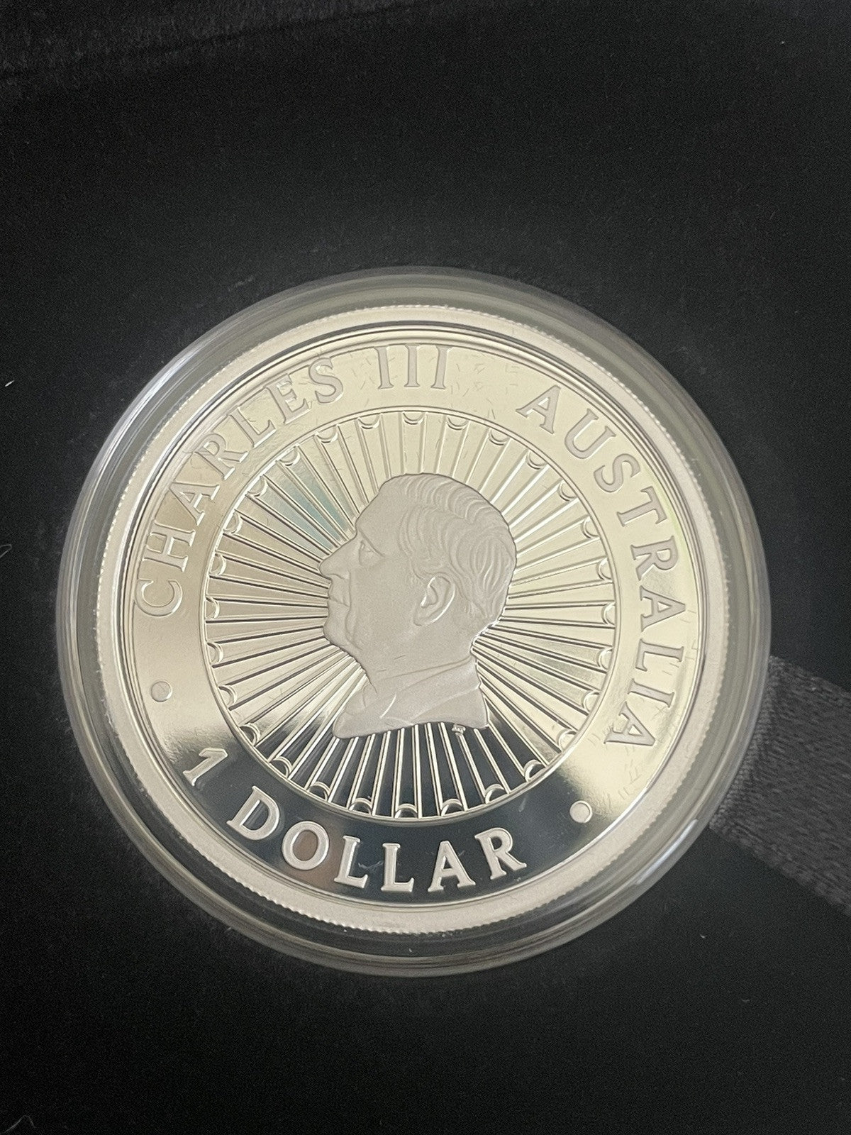 5592684