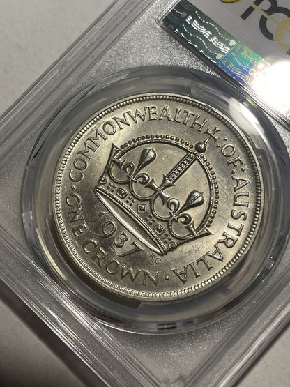 8096204