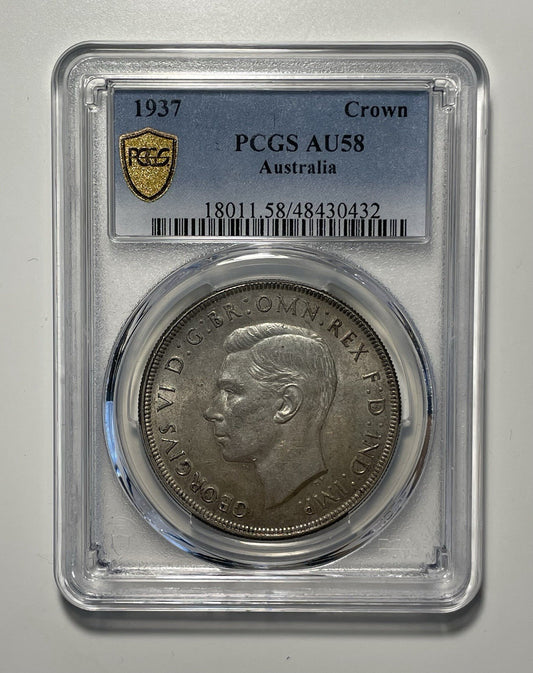 7981202