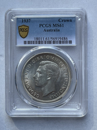 7551036