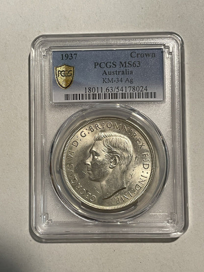 8096204