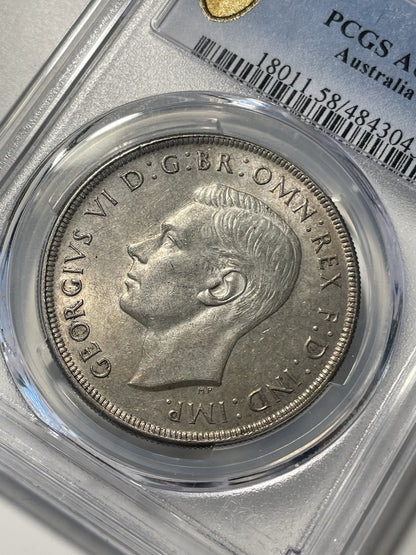 7981202