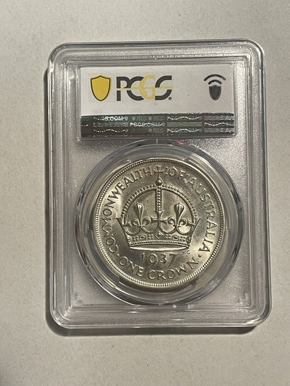 8096204