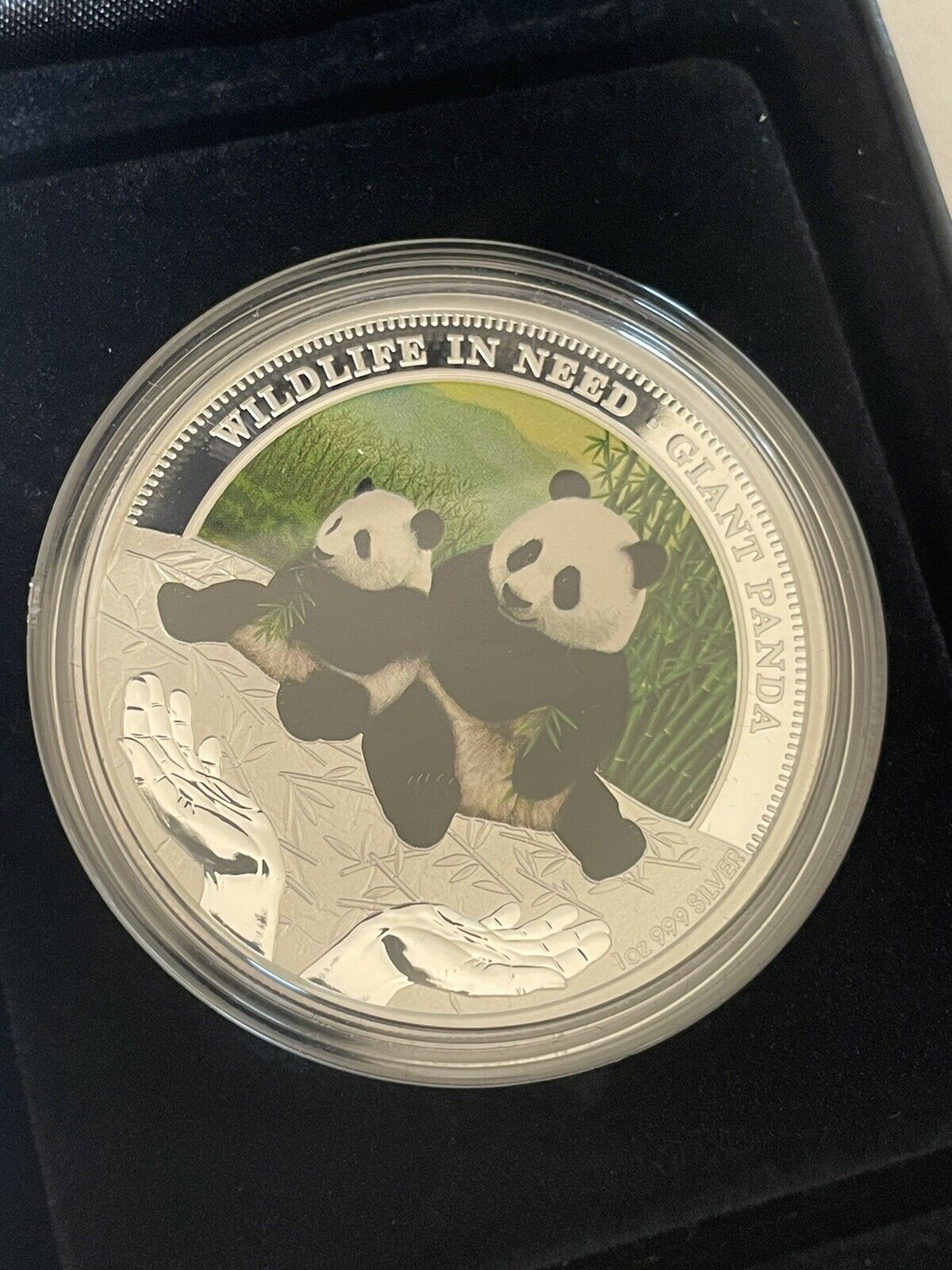 2011 Wildlife in Need GIANT PANDA 1oz Silver Proof Coloured Coin - Perth Mint