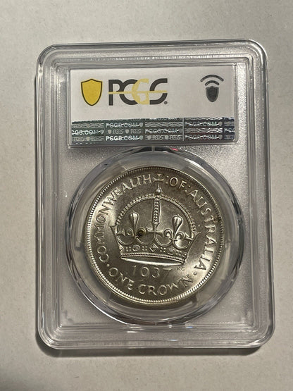 8096203