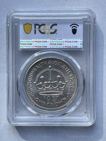 7551036