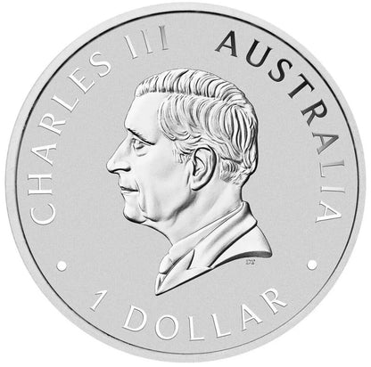 2024 Swan 1oz Coloured Silver Coin PREORDER CONFIRMED